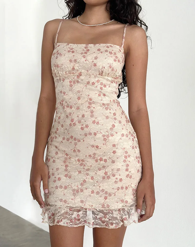 Akmu Mini Dress in Chic Petal Pink Lace