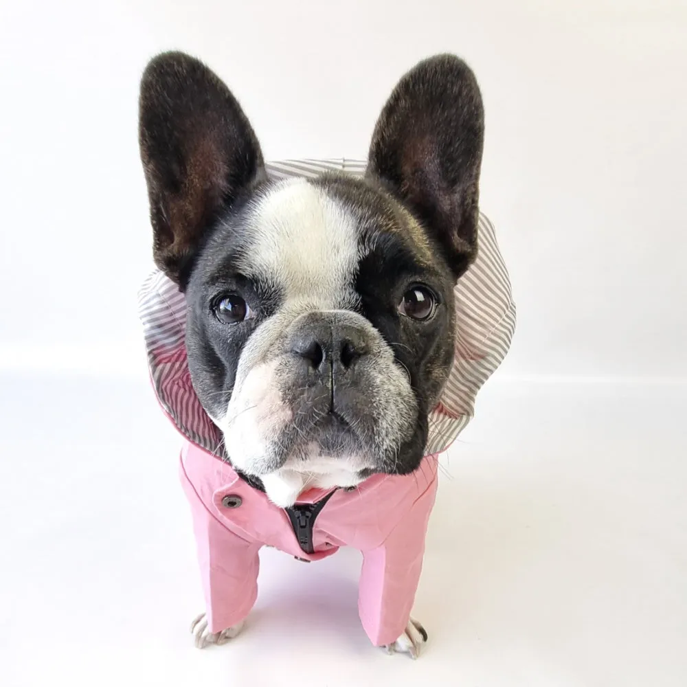 Dog Raincoat - Pink