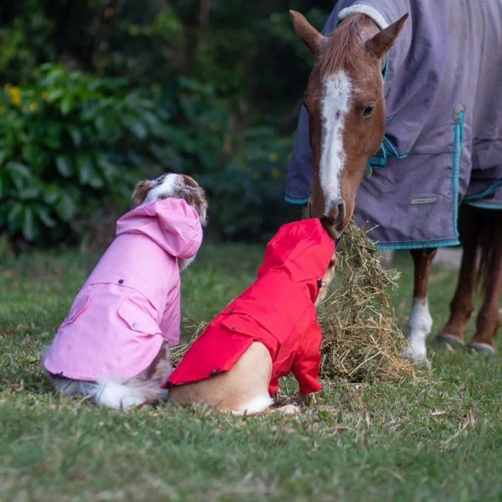 Dog Raincoat - Pink