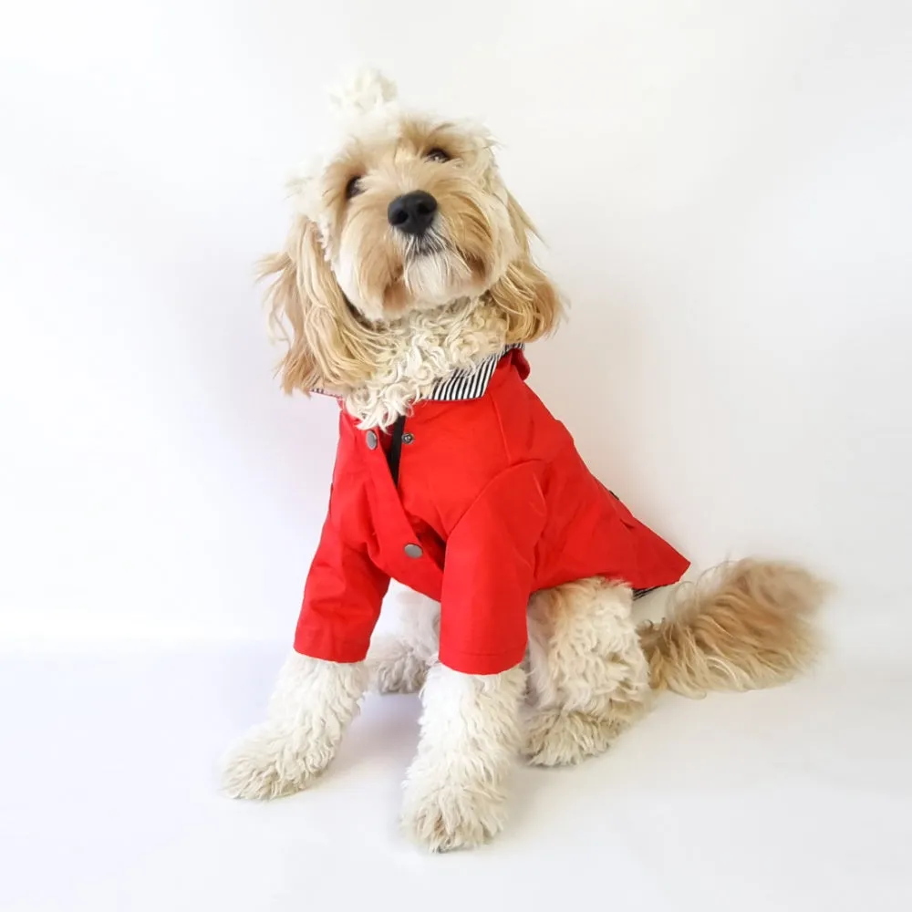 Dog Raincoat - Red