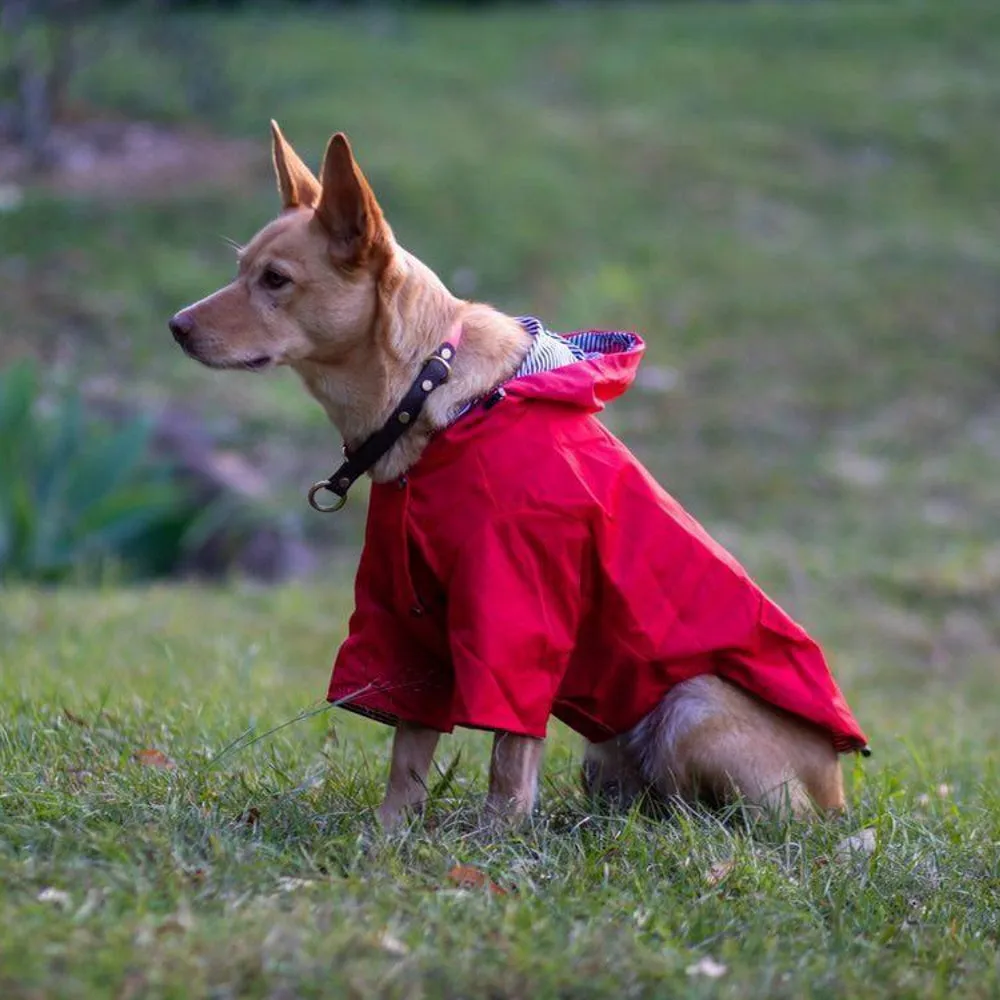 Dog Raincoat - Red