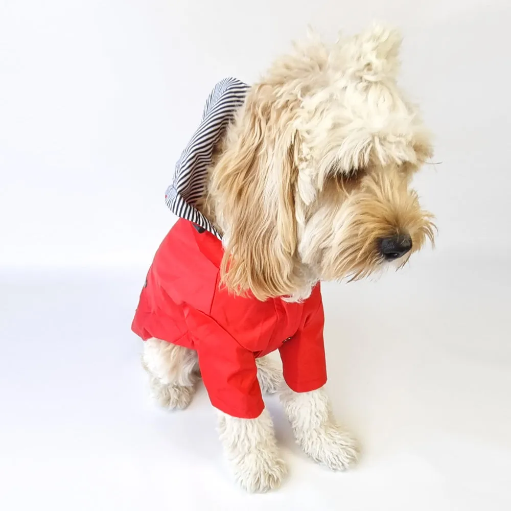 Dog Raincoat - Red